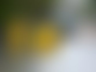 São Gabriel e Santa Maria têm mais de 240 mm de chuva em dois dias; volume preocupa outras cidades da região