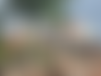 Prefeitura de Pelotas interdita demolição do Estádio Nicolau Fico por descumprimento ambiental