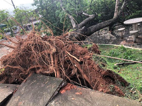 Chuva intensa em 18 cidades do RS causa inundações, deslizamentos e interdições; mais de 1.600 pessoas estão fora de casa