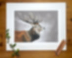 Thumbnail: Stag Print