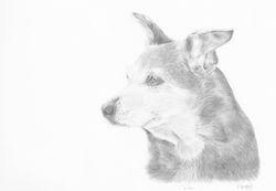 DIXIE NEWWWWW _edited