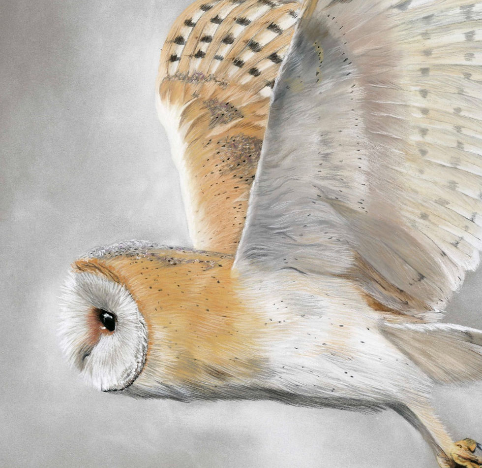 Thumbnail: Owl