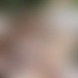 BFF Indy's Christmas Cookie Cookbook