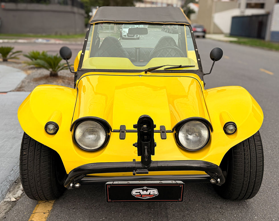Miniatura: BUGGY KADRON 1972