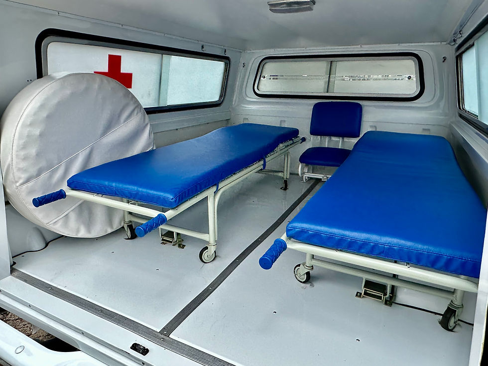 Miniatura: FORD F-100 AMBULÂNCIA 1979