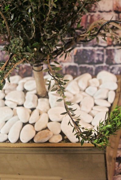 IMG_5469 - 6 -1_edited.jpg