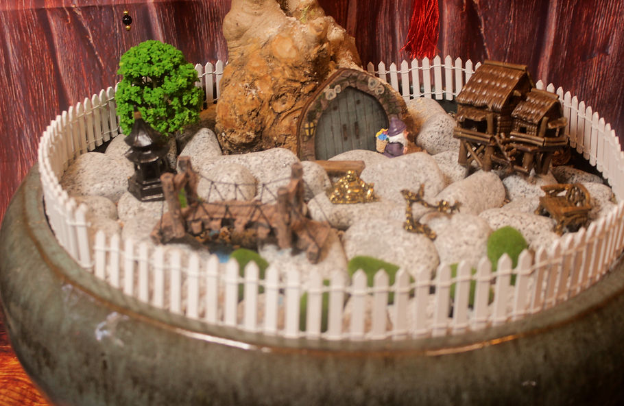 בונסאי למכירה בתל אביב