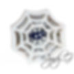 Spider Web Box Card SVG