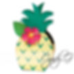 Pineapple Treat Box SVG