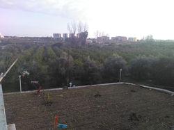 b2170051-92e9-4d01-8a93-dc90ab98761d