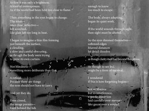 Scars of Sight