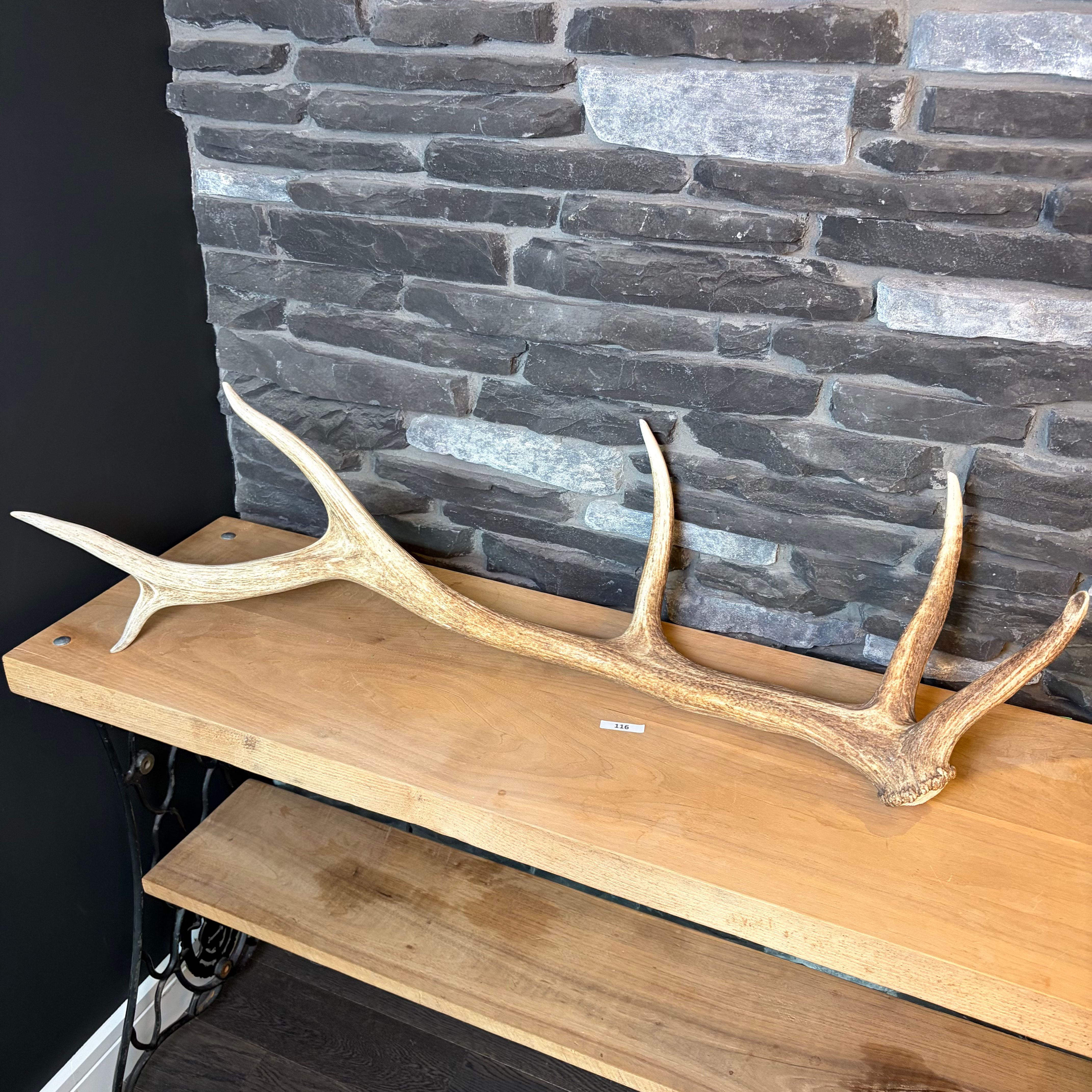 AD - 116 - Vtg 40"L  Antler