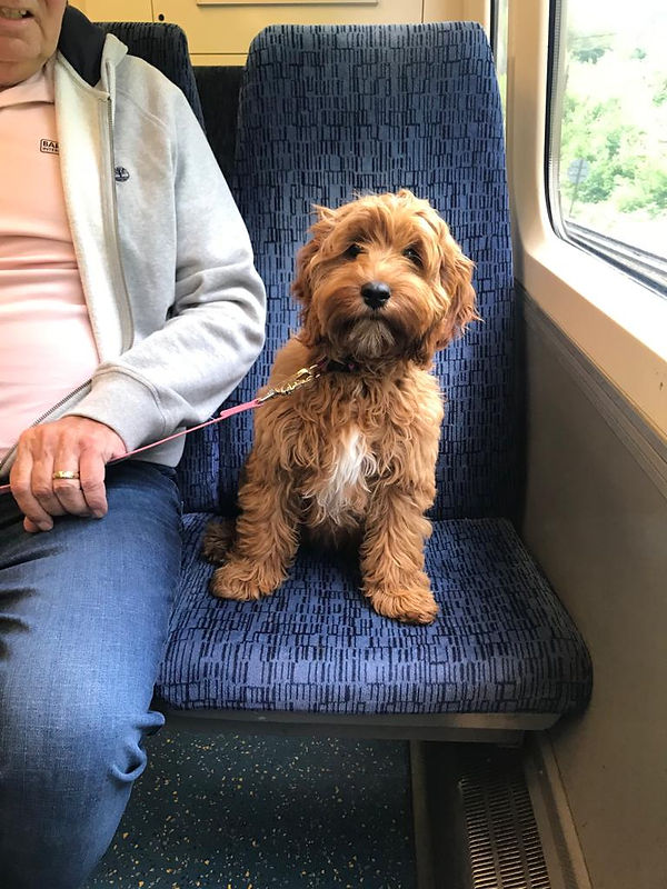 WhatsApp Image 2024-07-23 at 14.36.04_53b2c6cd - Copy.jpg