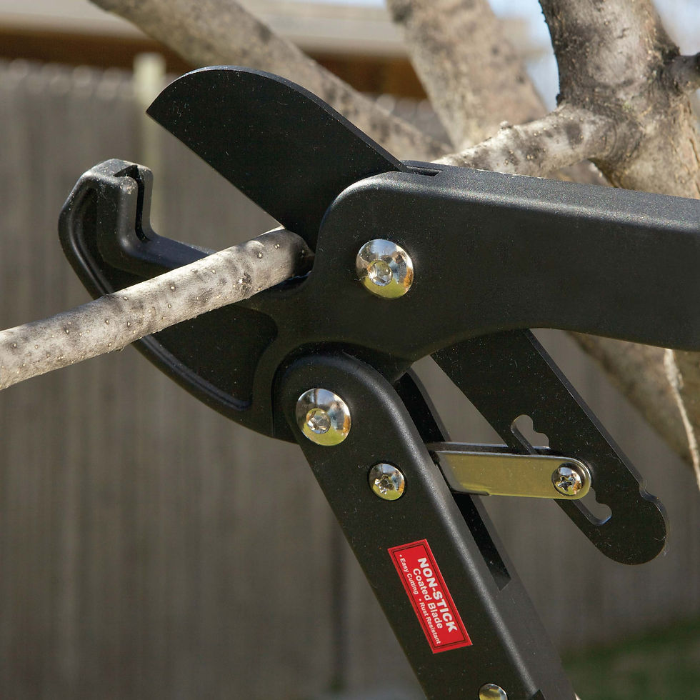 Mini Max anvil ratcheting shears cutting branch