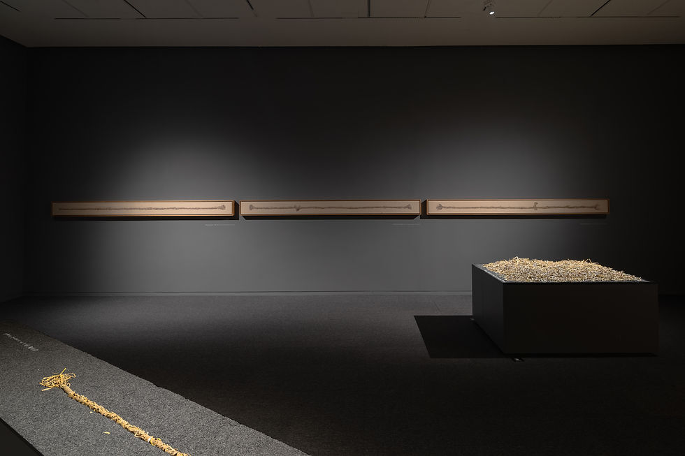 16-18. 草绳画 三联 Straw Rope Pag ( piec