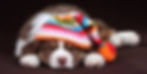 Rainbow-cap