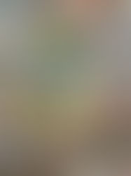 SHARING THE LOVE OF CARD MAKING