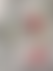 MERRIEST MOMENTS & PAINTED CHRISTMAS