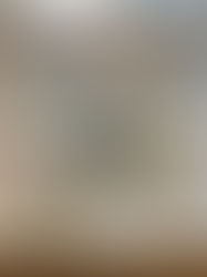 COUNTRY WOODS BIRDHOUSE CLASS