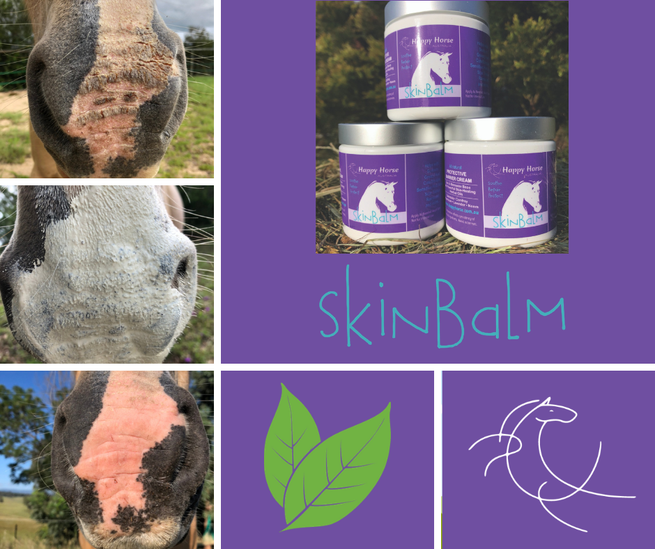 Thumbnail: SkinBalm