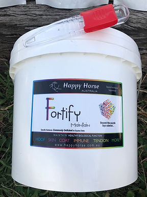 Fortify bulk bag & spoon.jpeg