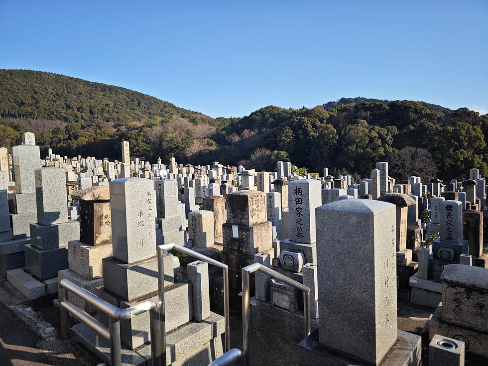 周縁にある「裏」を辿る