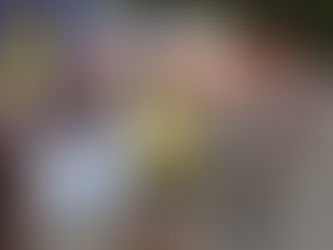 The Bay Crits – How a Wild Idea Became an Australian Summer Icon