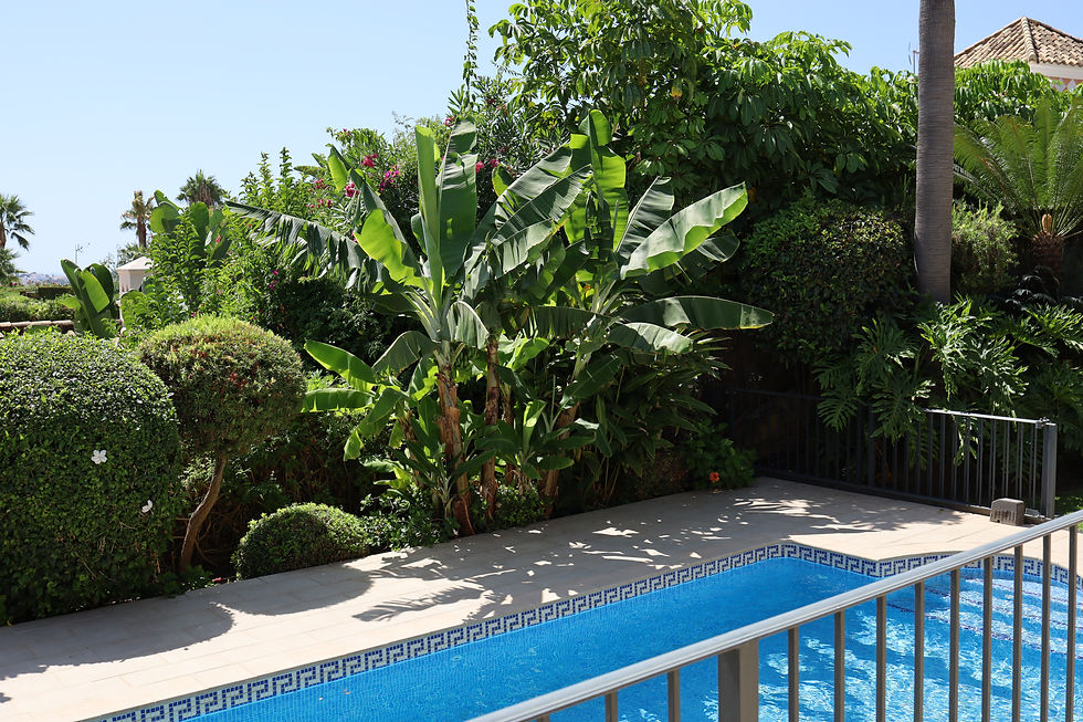A pool and flowers in Marbella