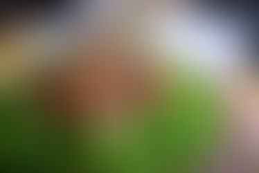 Cách Làm Nước Sốt Trộn Rau Ngon Tuyệt Cú Mèo