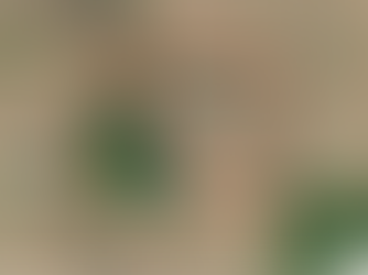 Estate of Theodore L. Allen Sr. Land Auction