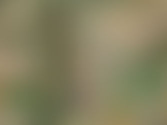 The Ralph Rethman Estate Auction