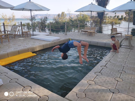 "הפוך גוטה הפוך"