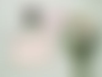 Come organizzare un matrimonio velocemente e senza stress in soli 8 giorni