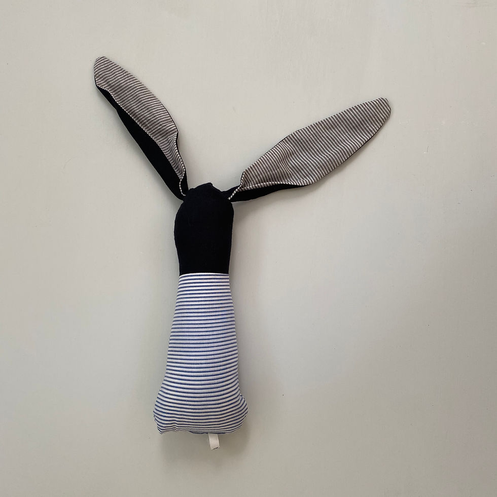Thumbnail: MINI RABBIT