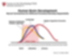 InBrief-The-Science-of-Early-Childhood-Development2.jpg