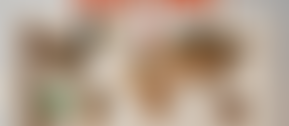 Rolled-out world map with holiday icons on Quebec, Belgium, Switzerland, France, Cameroon, and Tahiti. Text: Joyeux Noël! Festive mood.