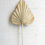 Thumbnail: Natural Dried Palm Stem Apprx. 30"
