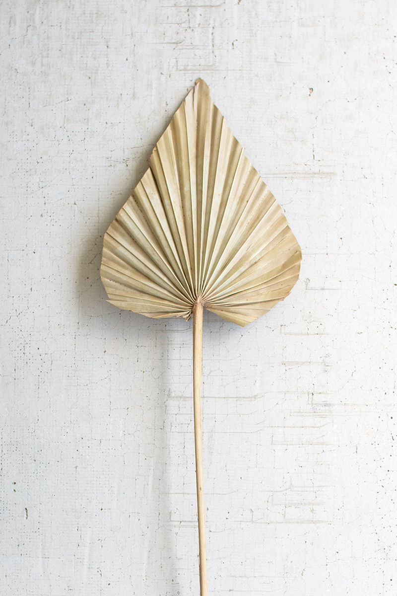 Natural Dried Palm Stem Apprx. 30"