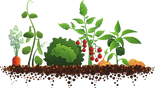 unnamed (5).png