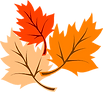 unnamed (2).png