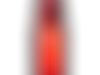 Press Release for Velours 540 by Caché
