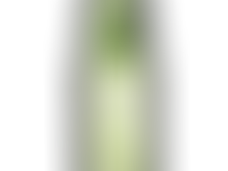 Press Release for Santalé by Caché
