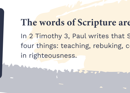 Why ‘Bible’ is Our Middle Name