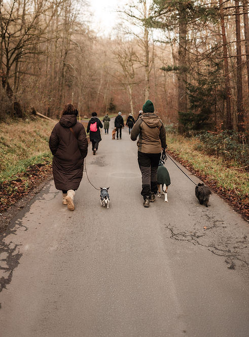 socialwalk-stuttgart.jpg