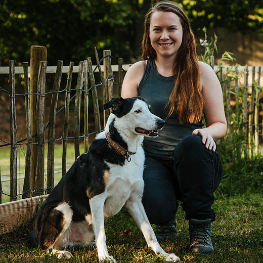 Tierschutzhund und Auslandstierschutz