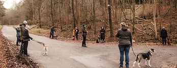 Grouptraining Stuttgart