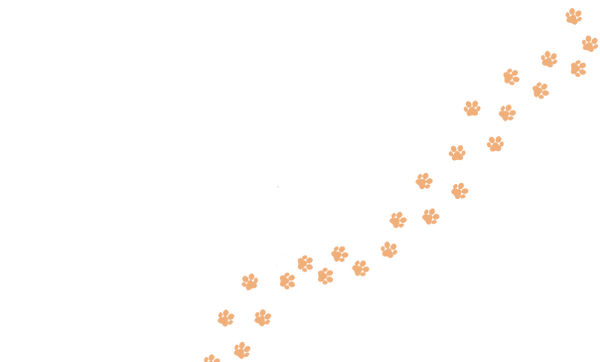 Pfoten