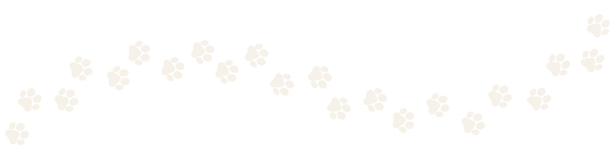 Pfoten