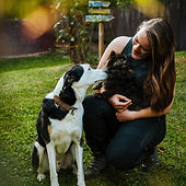 Alltagskurs Stuttgart Connect Canis