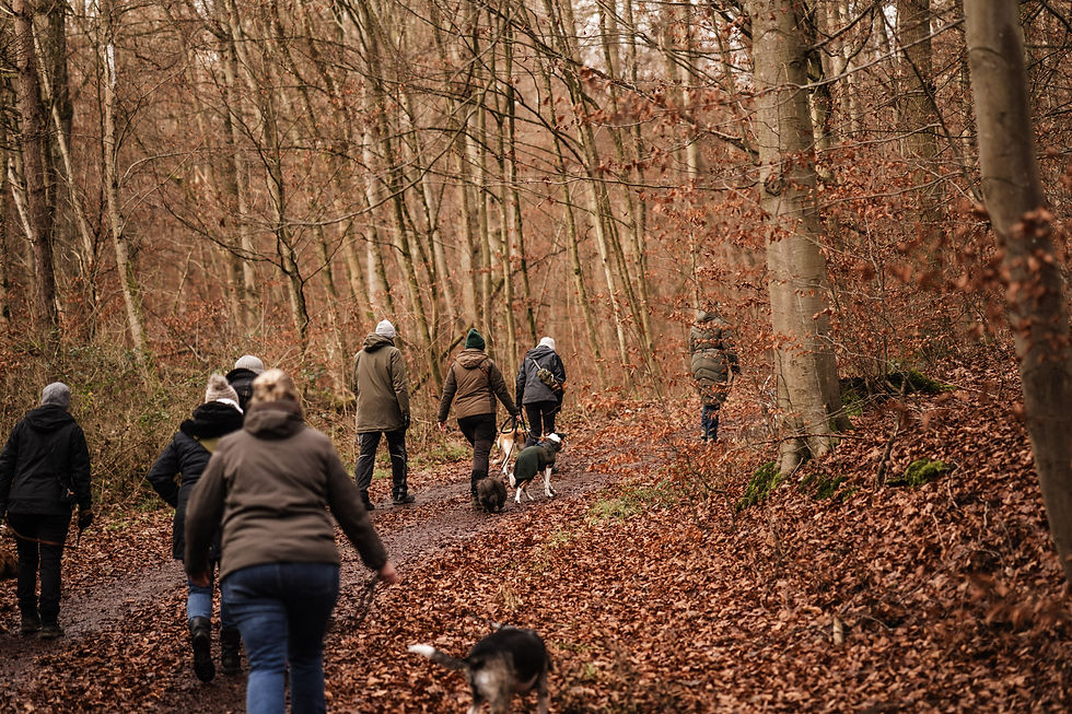 socialwalk.JPG